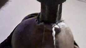 Gay Couple Shares Perfect Wet Bareback Blowjob Cum Swallow