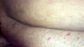 Lexie Shae begs for creampie in chubby BBW pussy young amateur style