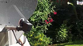 Sexy neighbor shows off big tits saggy ass and feet