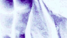 vintage erotic art collection turns up the heat