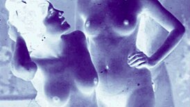 vintage erotic art collection turns up the heat