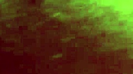 my amateur wife spreads pussy and ass for homemade pounding