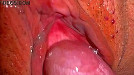 wanna see this amateur's pink shaved pussy 338 days post virginity?