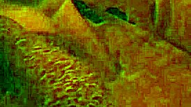 wanna watch this single wife spread legs for full doggystyle pounding at the party?