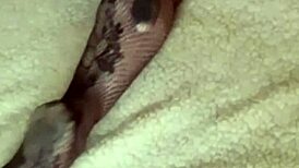 i wake up to hot cum splashing my sexy stocking ass... klaudiaambergirl