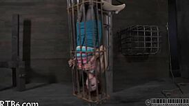 i crave that intense sadomasochism rush from top pornstars...