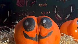 feelin so horny teen pussy stretched by monster cocks double creampie drippin in halloween pumpkin patch