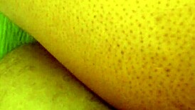 dozier313 pounds ebony bbw's fat ass doggystyle outdoors for deep creampie finish