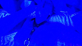 watch this submissive milf housewife slurp cock close-up then gulp every drop down