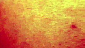 dozier313 pounds ebony bbw's fat ass doggystyle outdoors for deep creampie finish