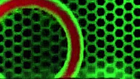 blonde lexi love bends for rome major's deep doggystyle pussy pounding