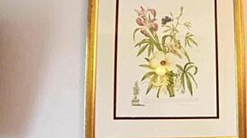 naughty british college girl gets stepdad off quick