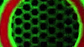 samantha rone's steamy lesbian date with cougar pussy licking and sensual lingerie play