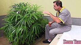 Tgirl Amanda Ferraz Double Fucked Interracial Bareback By Black White Men