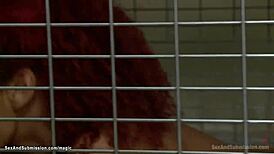 Master roughly anal fucks three bound buttplugged slaves in bdsm 4some