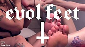 Run Your Tongue Between My Goddess Toes Now Slave!