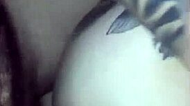 wet milf's gaping ass stretched by bareback anal pounding