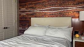 Huge Booty Pawg Slut Devours Big Black Cock!