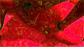 after beach pickup i pound this big ass latina brazilian pov homemade