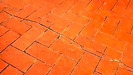 whoa my wife's lesbian friend washing dishes in skirt got me hard i yanked it aside and pounded her wet