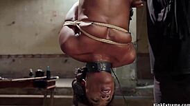 Bound ebony trainee chokes on gimp slave's rough deepthroat in kinky bdony whipping session