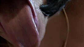 Stepmom begs: Cum in my slutty mouth, stepson!