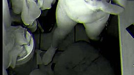 Job Interview Ends Bent Over Dripping Cum