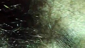 Teasing my wife's hairy pussy before deep fucking