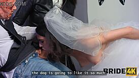 i can't resist blowing that monster cock on my wedding day