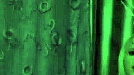 hey everyone welcome to zorrilandia the spanish teen blonde paradise 🇪🇸👯‍♀️