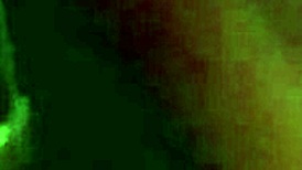 my dick sucking vixen slurps sloppy on cock begging for more loads