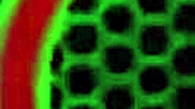 damn! voluptuous sara jay milf licks juicy curvy milf pussy lips wet!