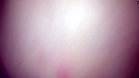 rough bull fucks wife hard while cuck waits outside then creampies her