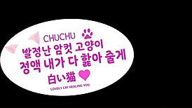 that k-pop idol cosplay virgin gets her tight japanese pussy stretched rough for the first time