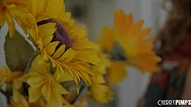 Watch Lena Paul Spread Hairy Pussy for Troy's Tongue Before BBC Pounds Her Big Tits!